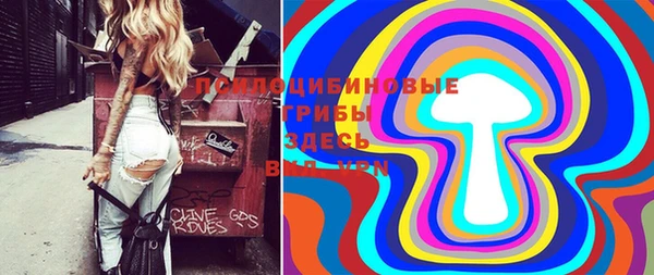 прущая мука Армянск
