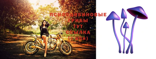 прущая мука Армянск