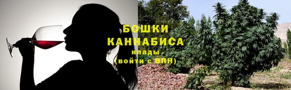 эйфоретик Аркадак