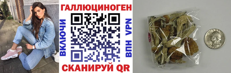 Галлюциногенные грибы Cubensis  Купить  Новоульяновск 